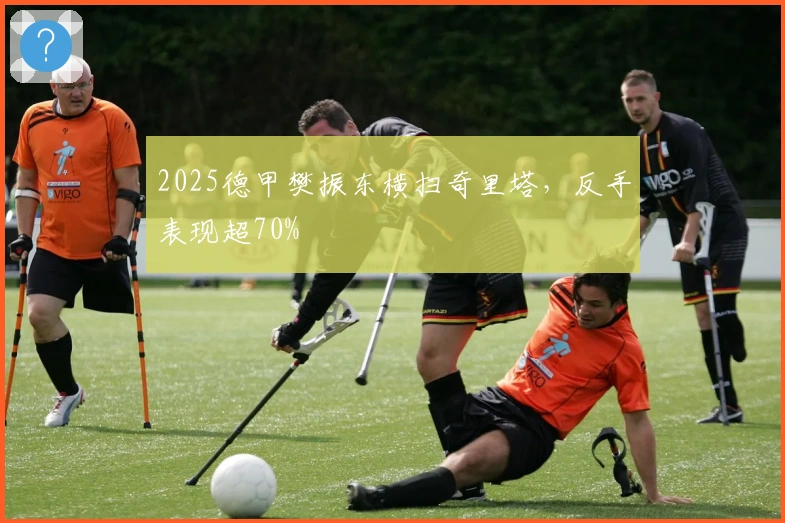 2025德甲樊振东横扫奇里塔，反手表现超70%